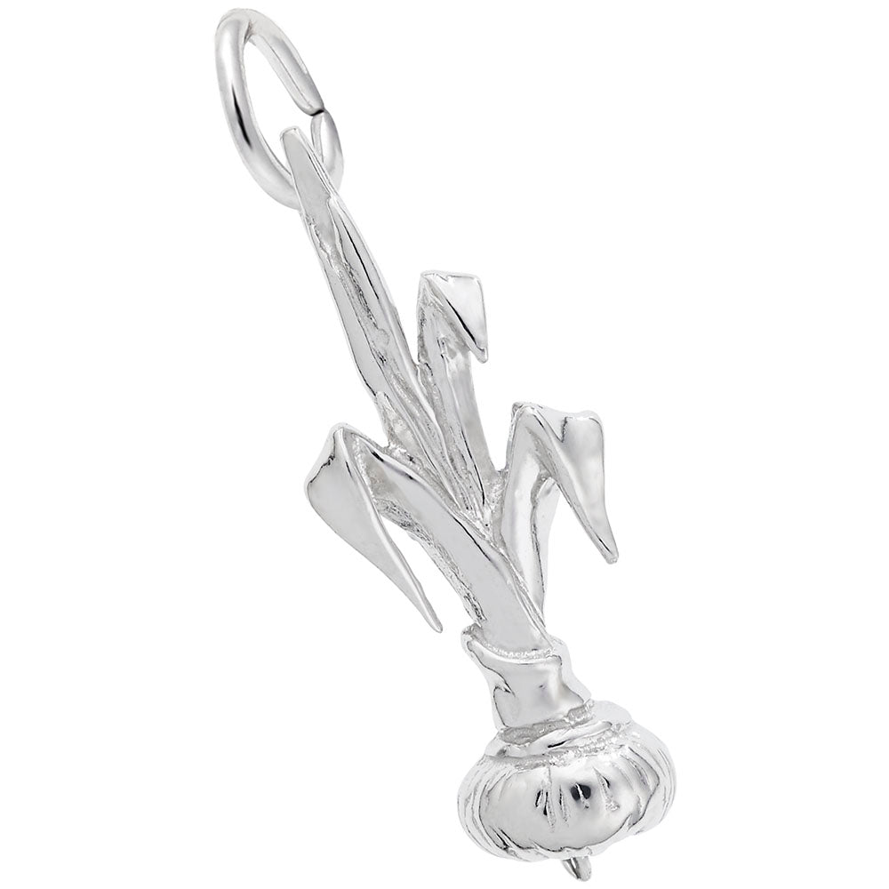 Silver onion charm on a white background