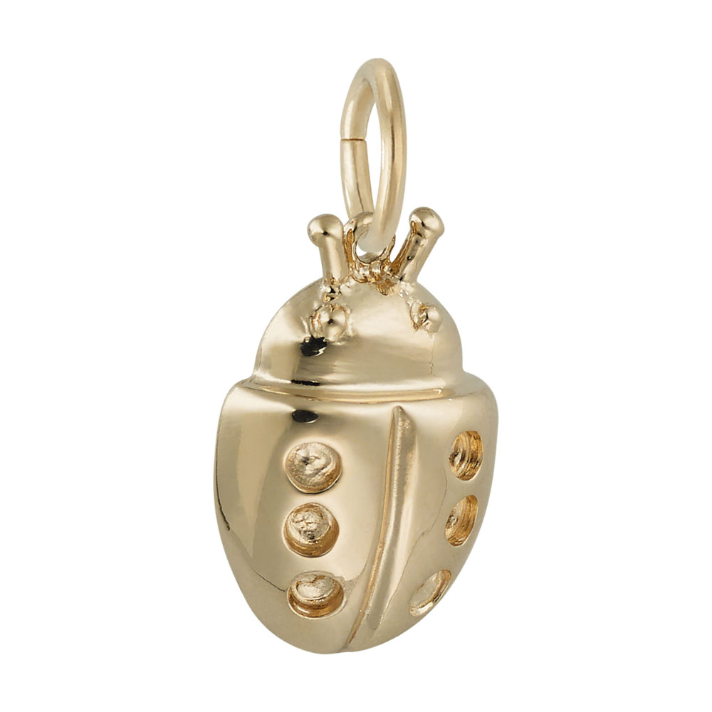 7829 Ladybug Charm