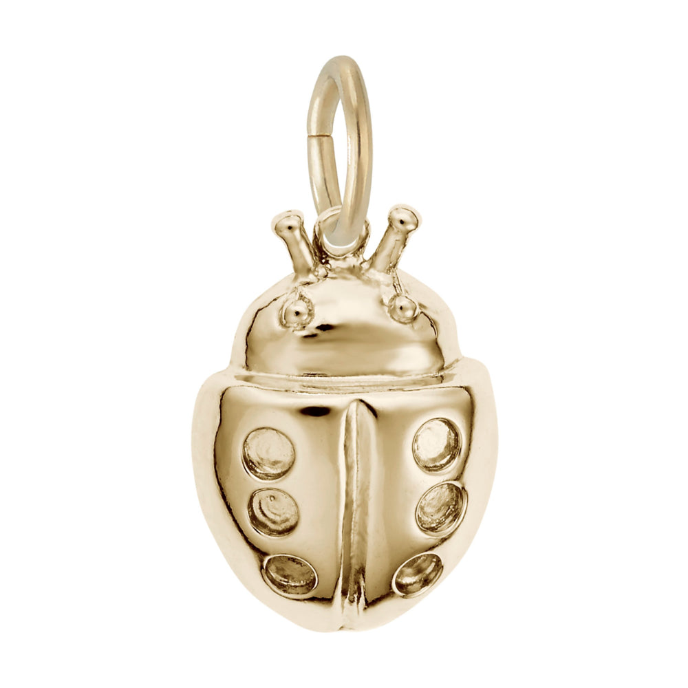 7829 Ladybug Charm