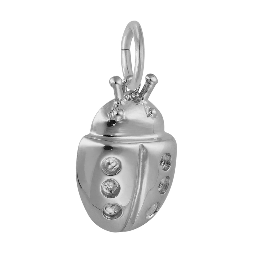 7829 Ladybug Charm