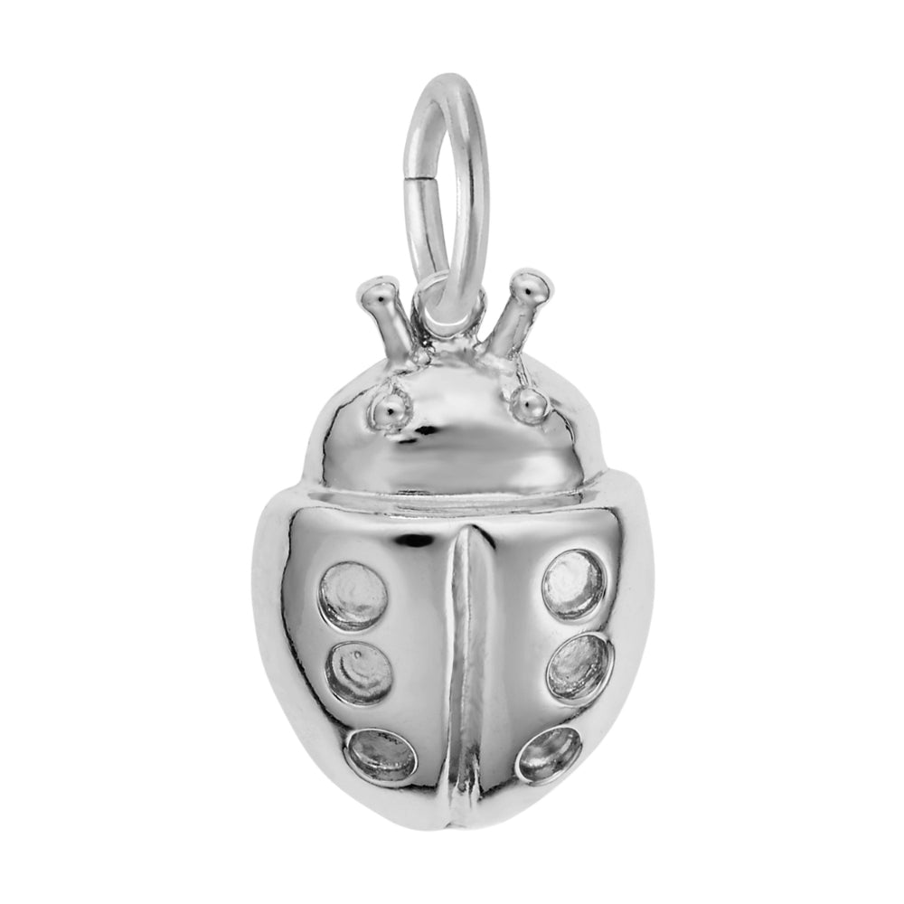 7829 Ladybug Charm