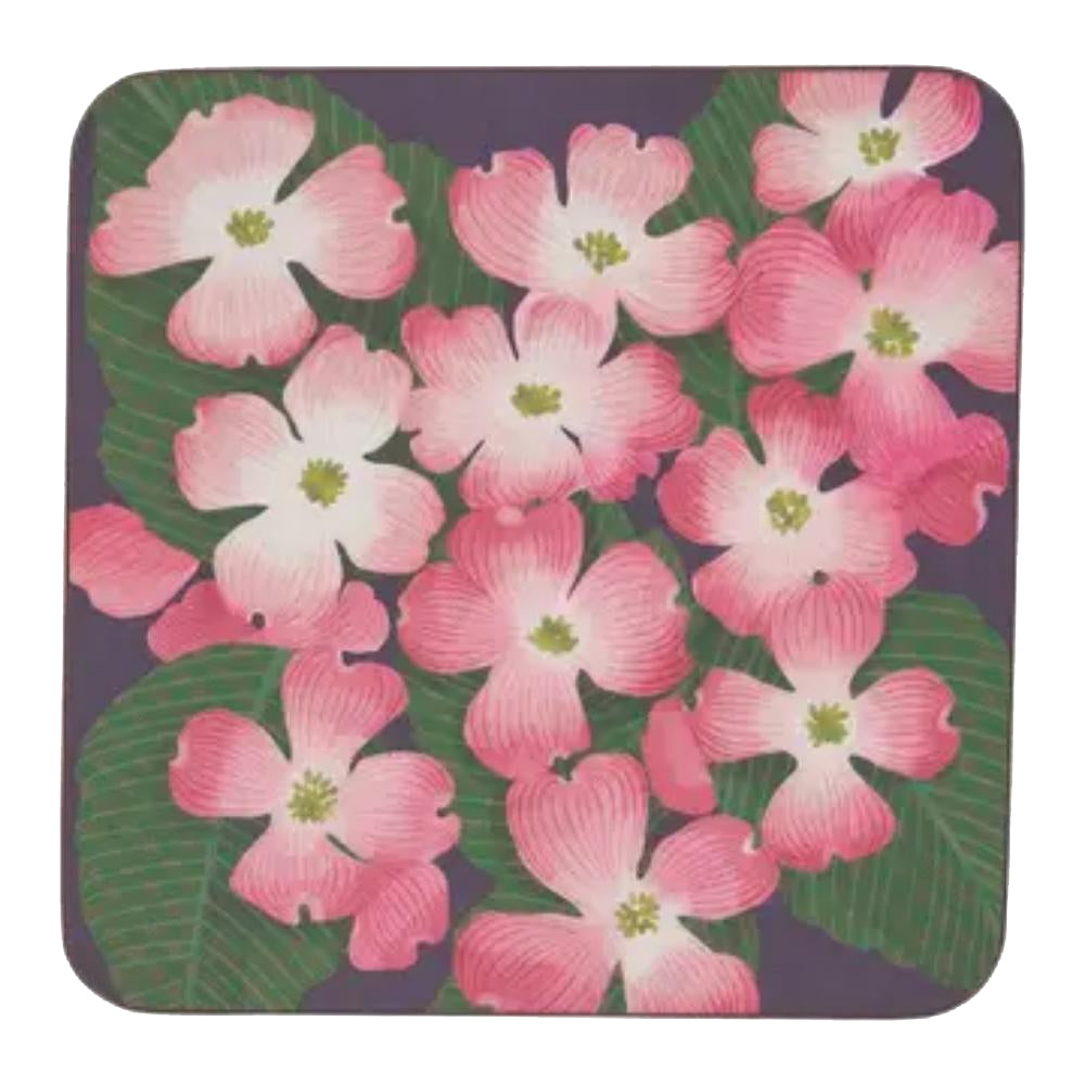 Rock Flower Paper Coasters - Set of 4