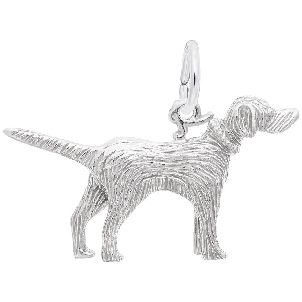 Silver setter dog shaped charm, shown on a white background