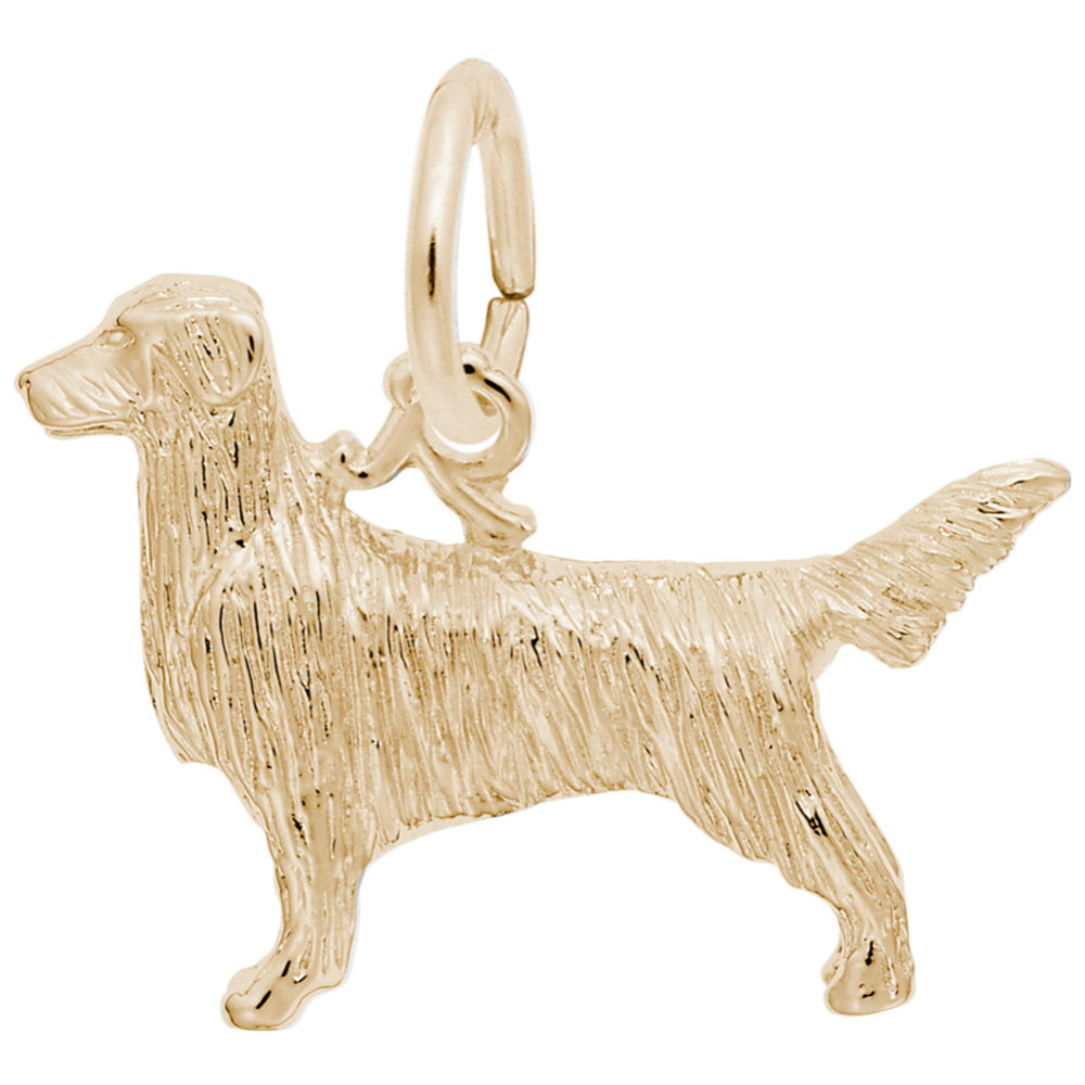 RQC 8247 Retriever Dog Charm