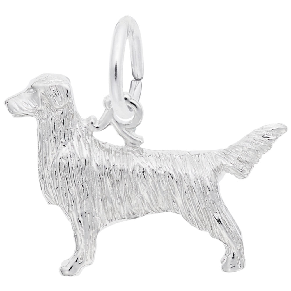 RQC 8247 Retriever Dog Charm