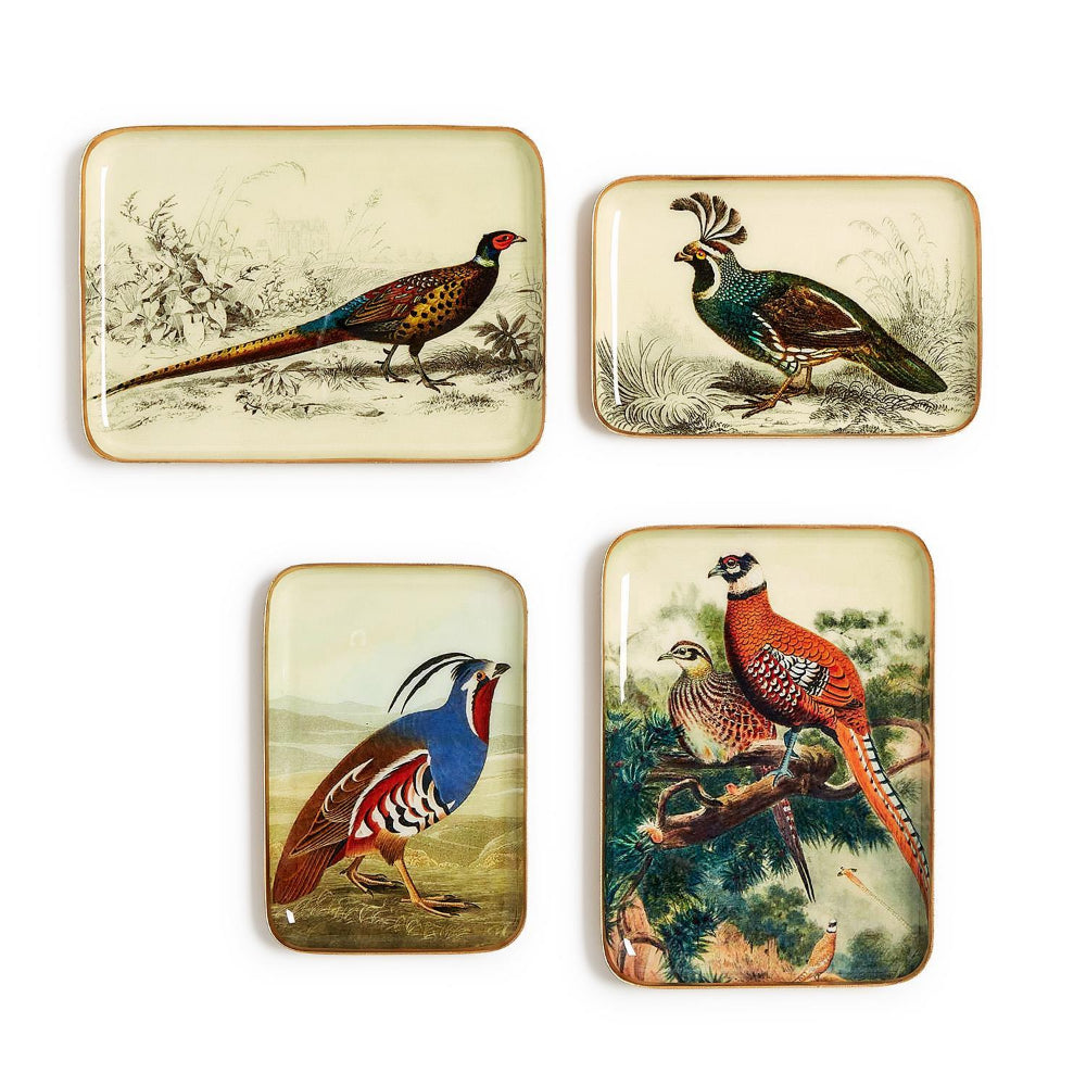Set of four decorative plates featuring illustrations of pheasant birds on a beige background.
