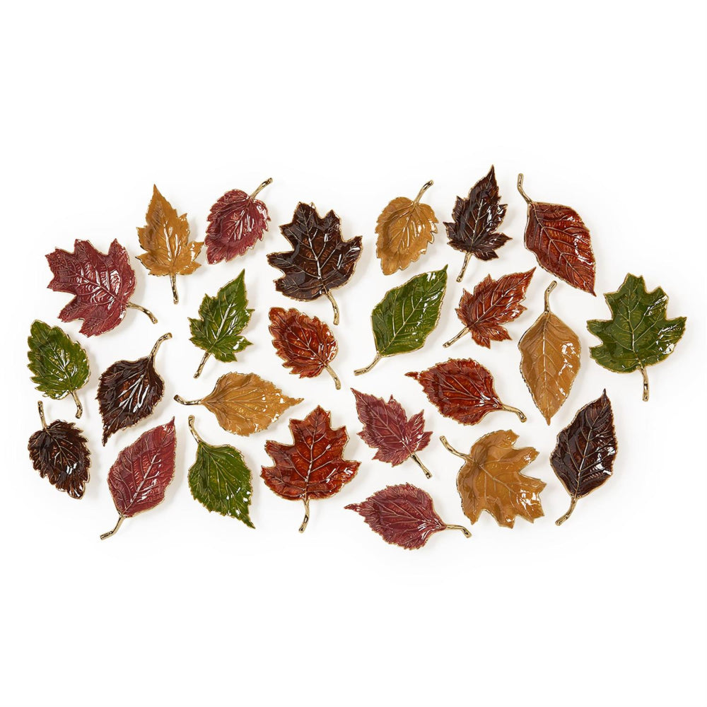 Assorted colored leaves arranged in a pattern on a white background