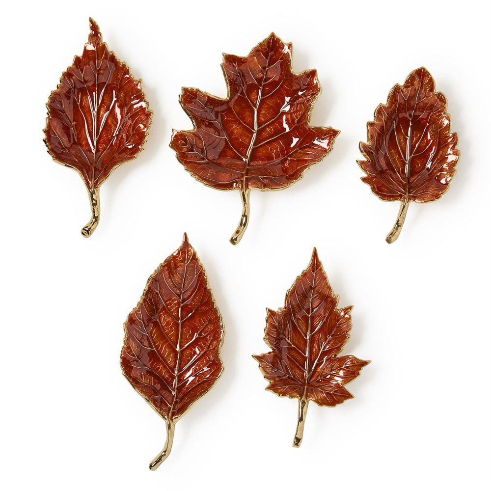 Five brown leaf-shaped objects on a white background
