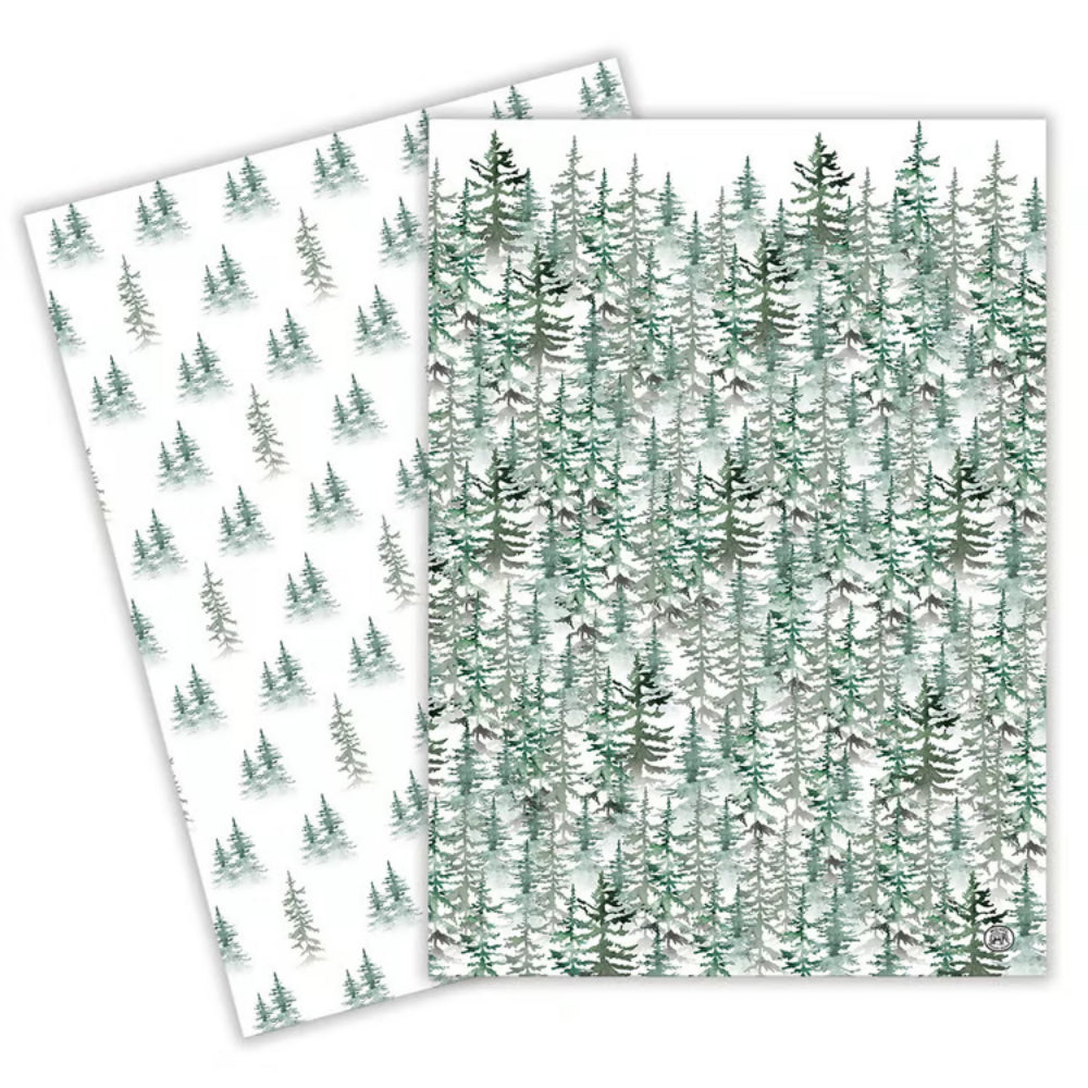 Evergreen kitchen towel set of 2 on a white backround.