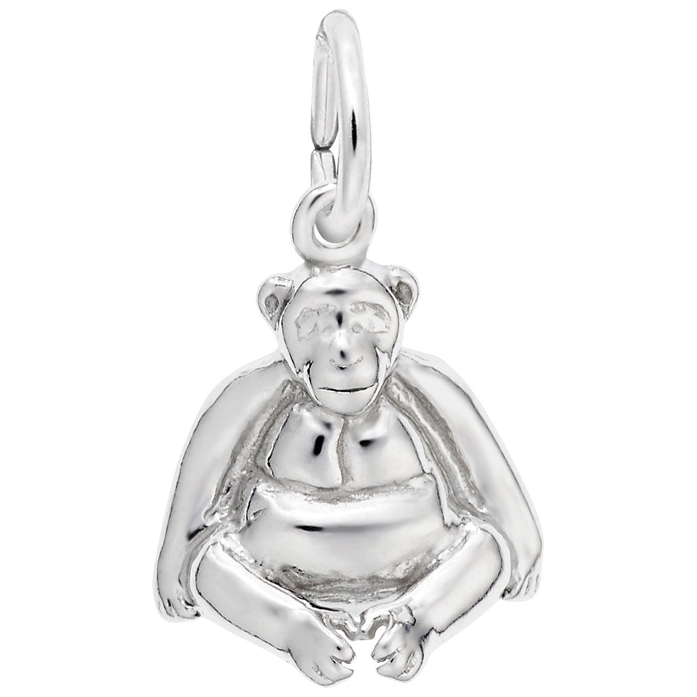 Silver monkey charm on a white background