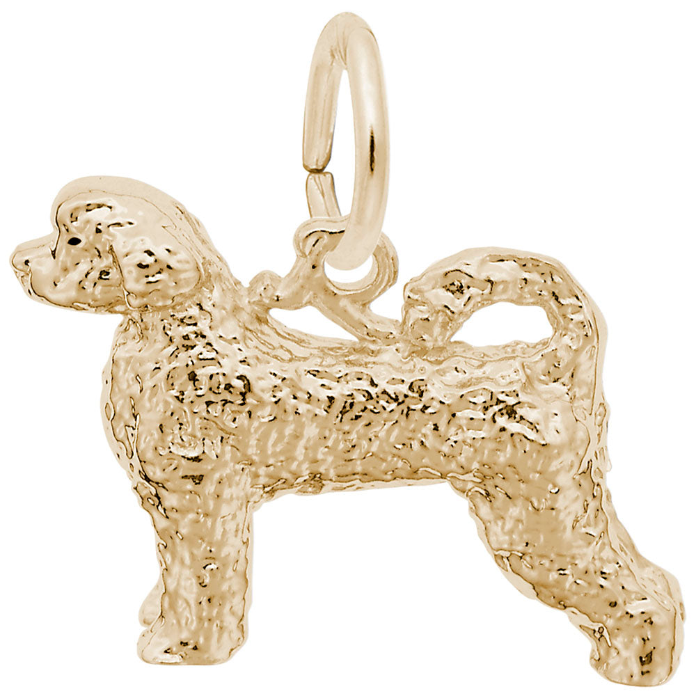 Gold dog charm on a white background
