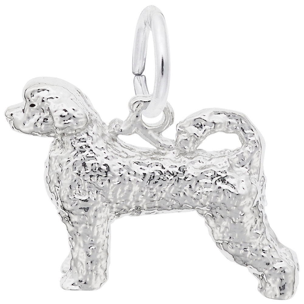 Silver dog charm on a white background