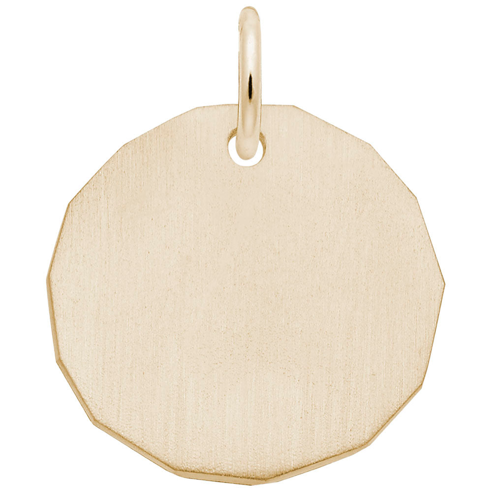 Plain silver hexagonal disc charm on a white background