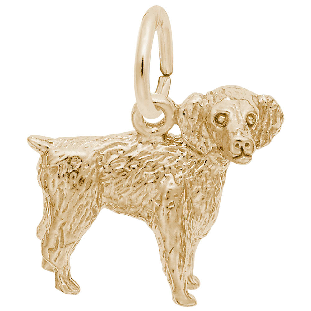 Gold Boykin Spaniel charm on a white background