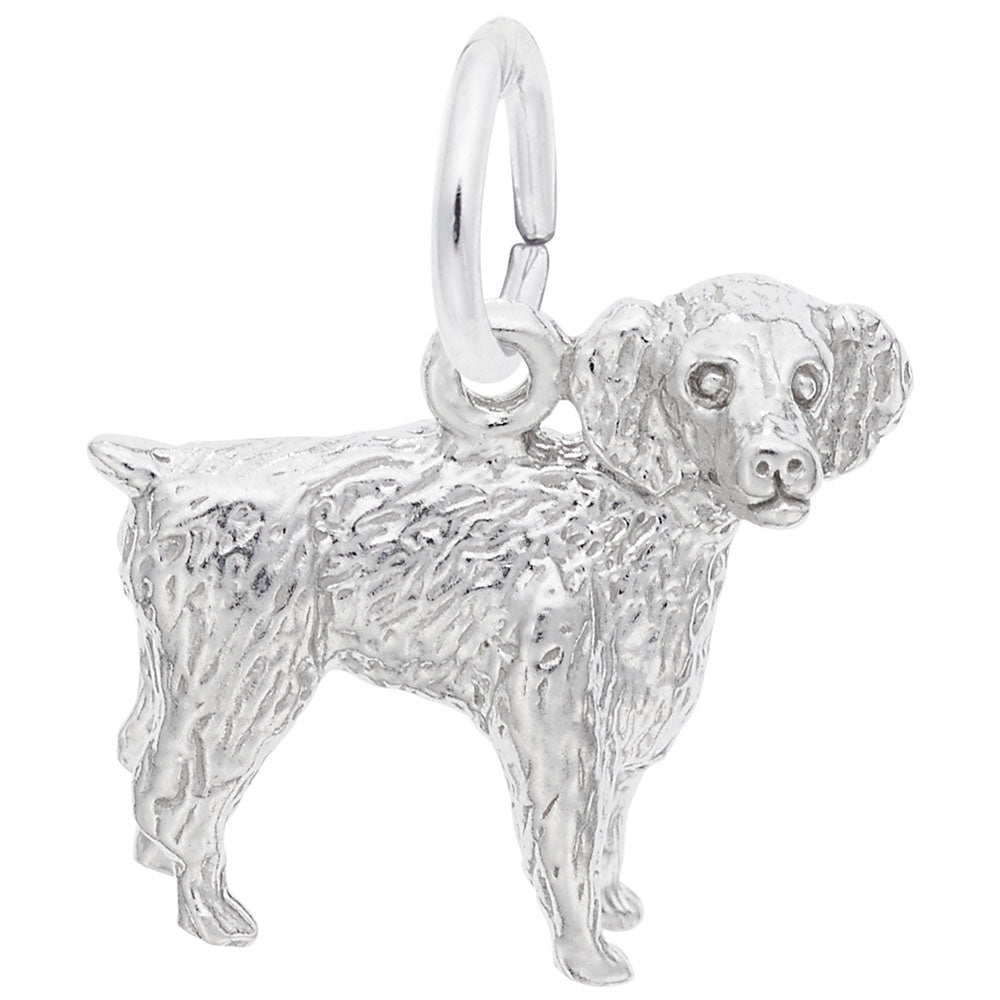 Silver Boykin Spaniel charm on a white background