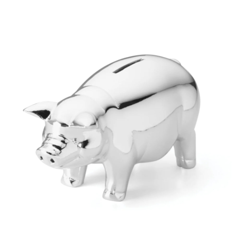 Silver piggy bank on a white background