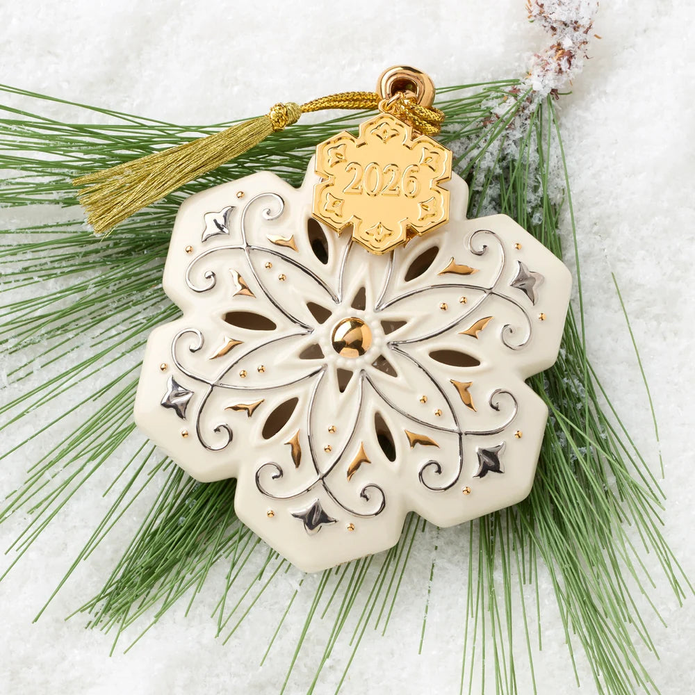 Decorative snowflake ornament with gold accents and '2026' on a snowy background