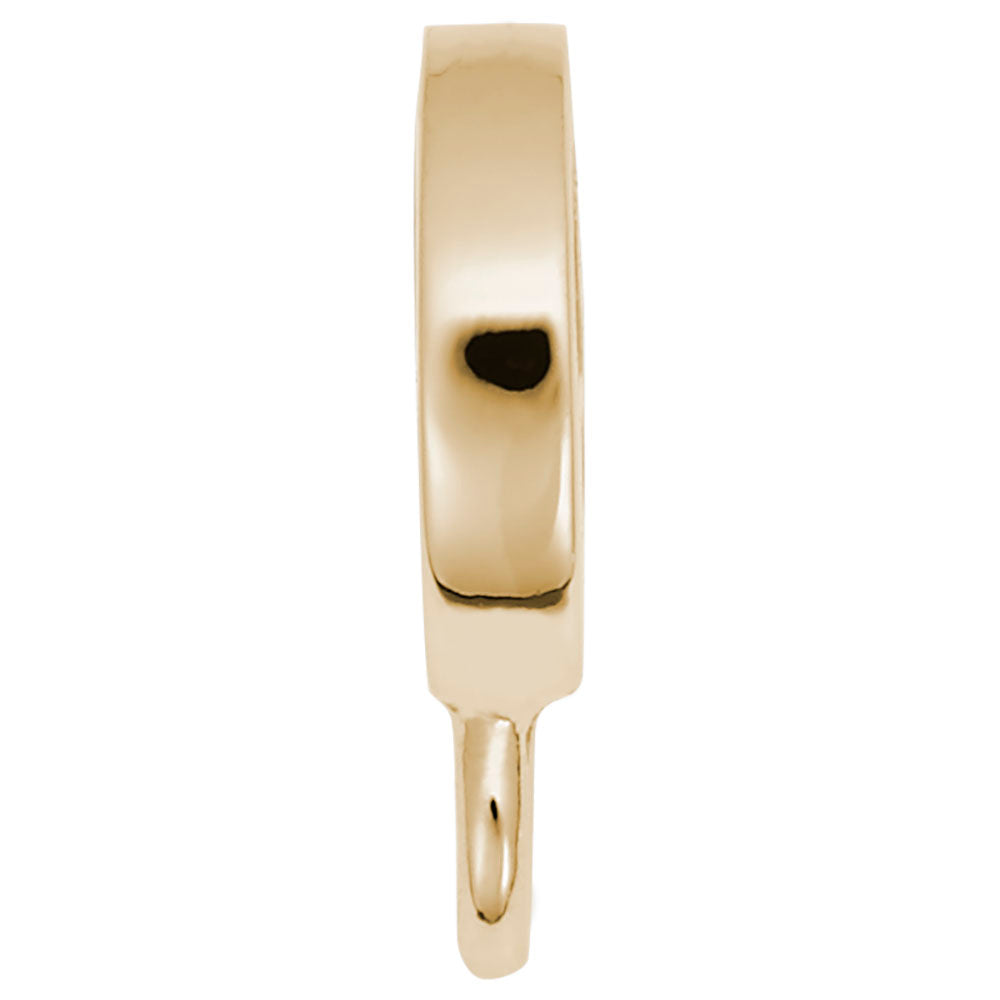 Gold thin hoop charmdrop on a white background