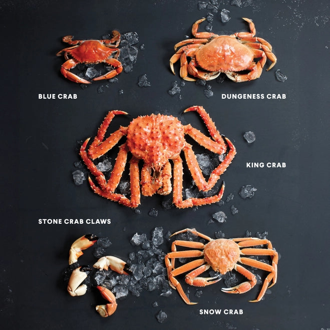 Illustration of different types of crabs on a black background with labels.