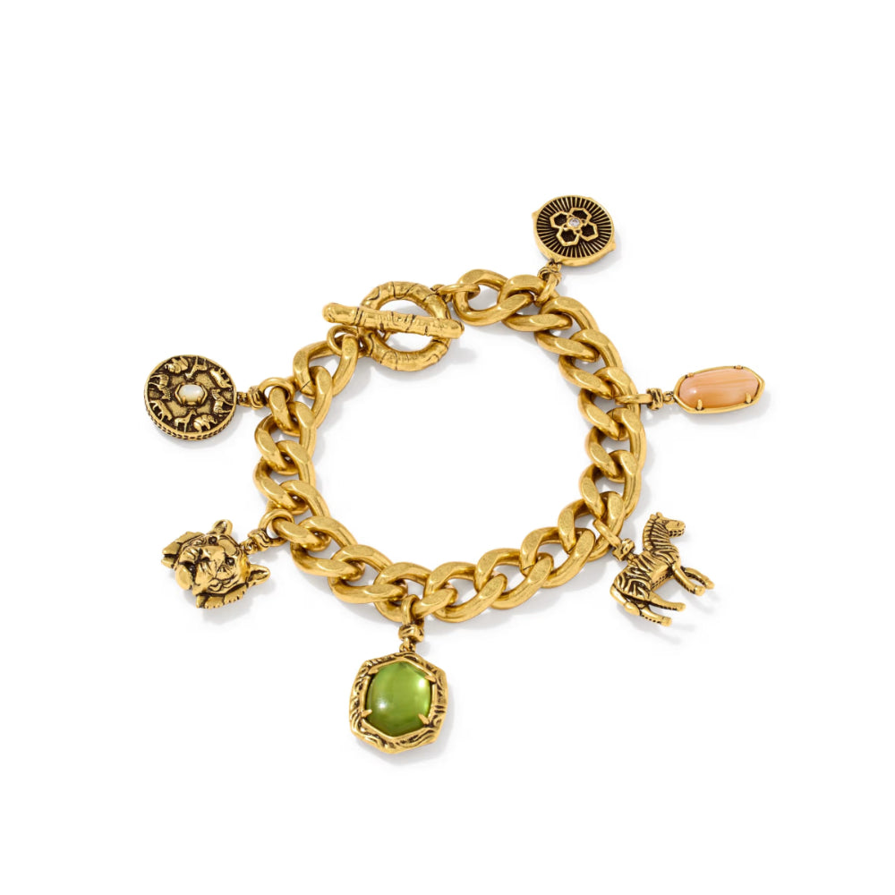 A gold-tone charm bracelet featuring a chunky cable chain, a toggle clasp, and five dangling charms: a medallion, a lion head, a unicorn, a green gemstone hexagon, and a peach-colored oval stone.