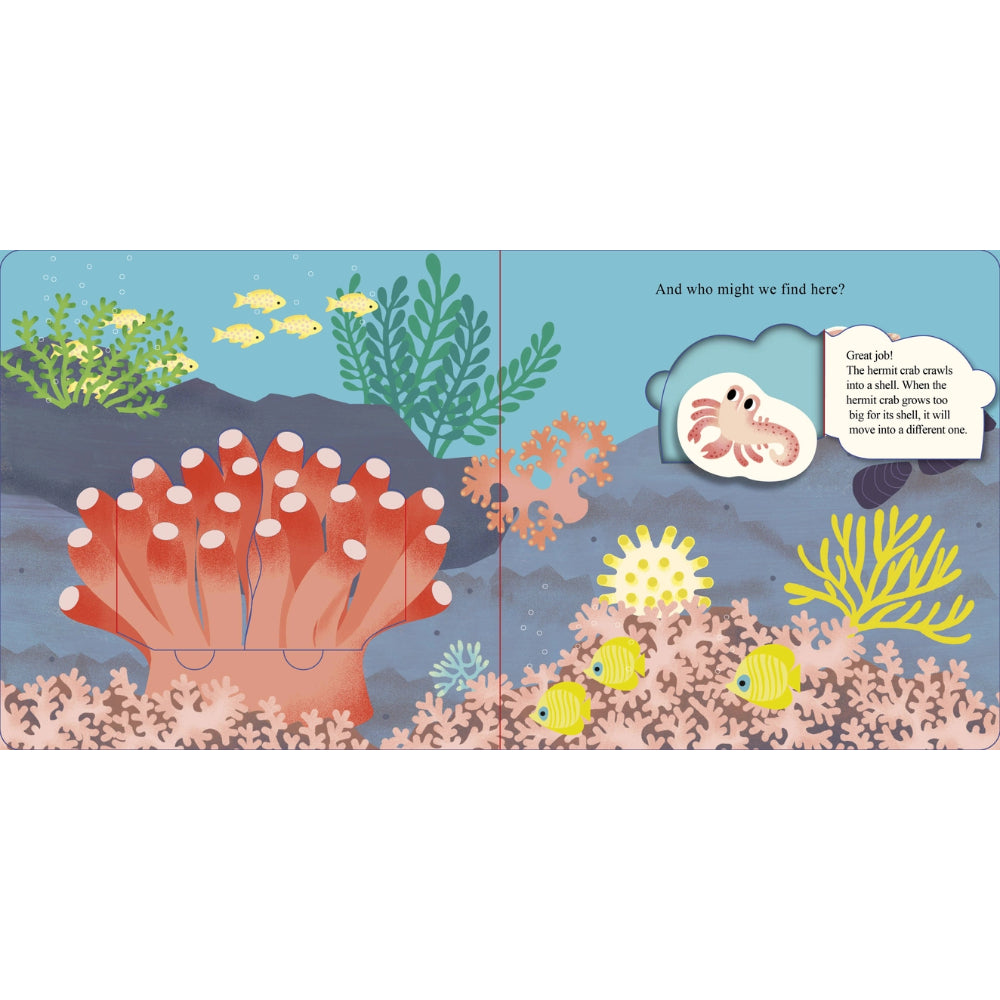 Illustrated underwater scene with coral, fish, and a sea creature on a blue background
