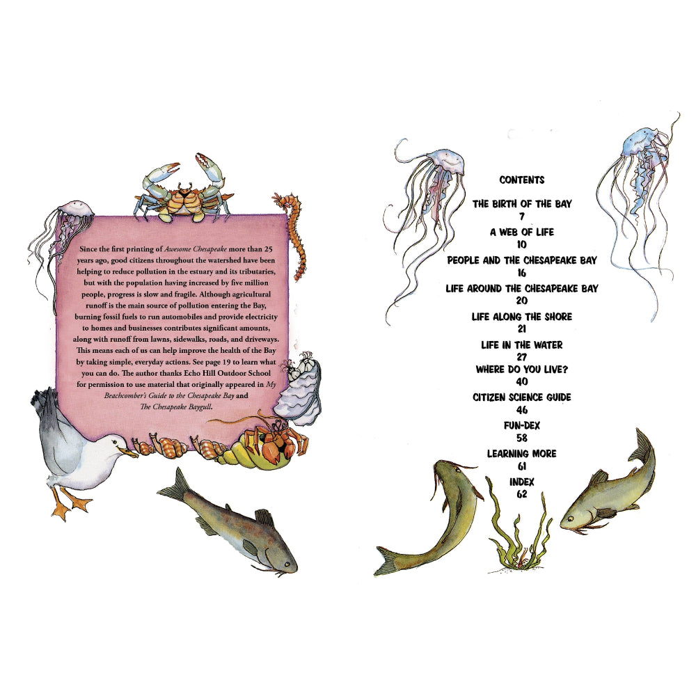 Awesome Chesapeake: A Kid's Guide To the Bay