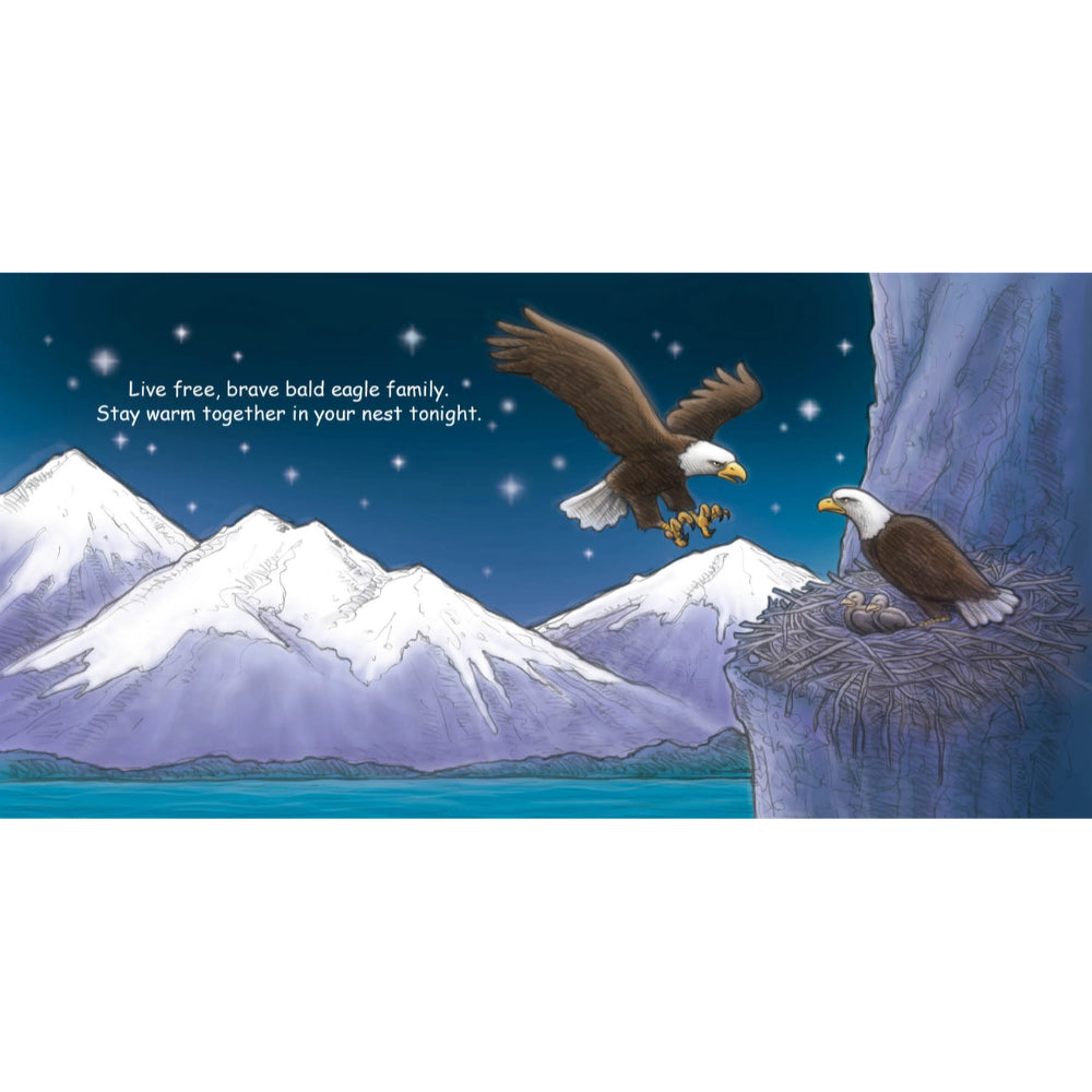 Good Night America Book