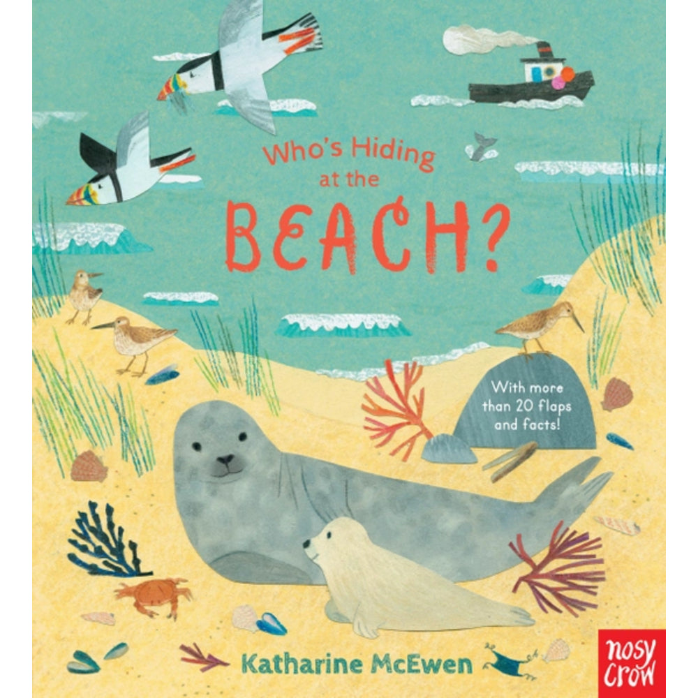 Book cover of 'Who's Hiding at the Beach?' with illustrations of seals, birds, and beach elements.