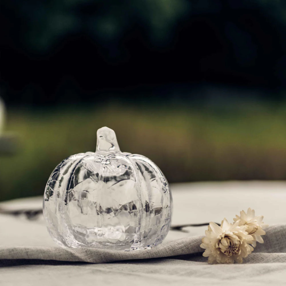 A clear glass pumpkin-shaped decorative object sits on a light fabric surface outdoors, with a blurred natural background and small dried flowers beside it.