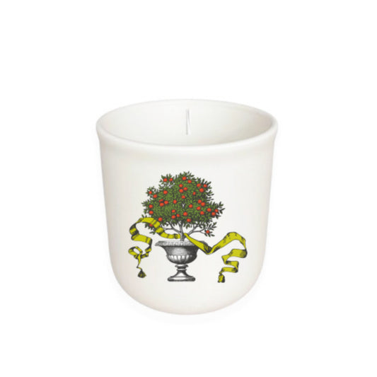 Annapolis Candle Terrace Collection Boxed Candle
