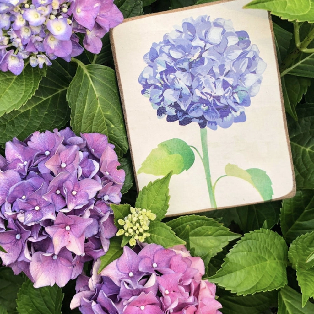Rustic Marlin Hydrangea Flower Block Sign