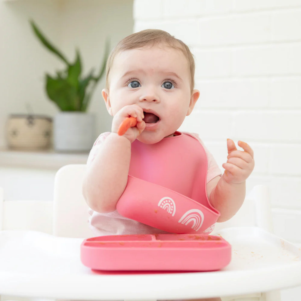 Bella Tunno Baby Little Bites Beginner Bundle Set