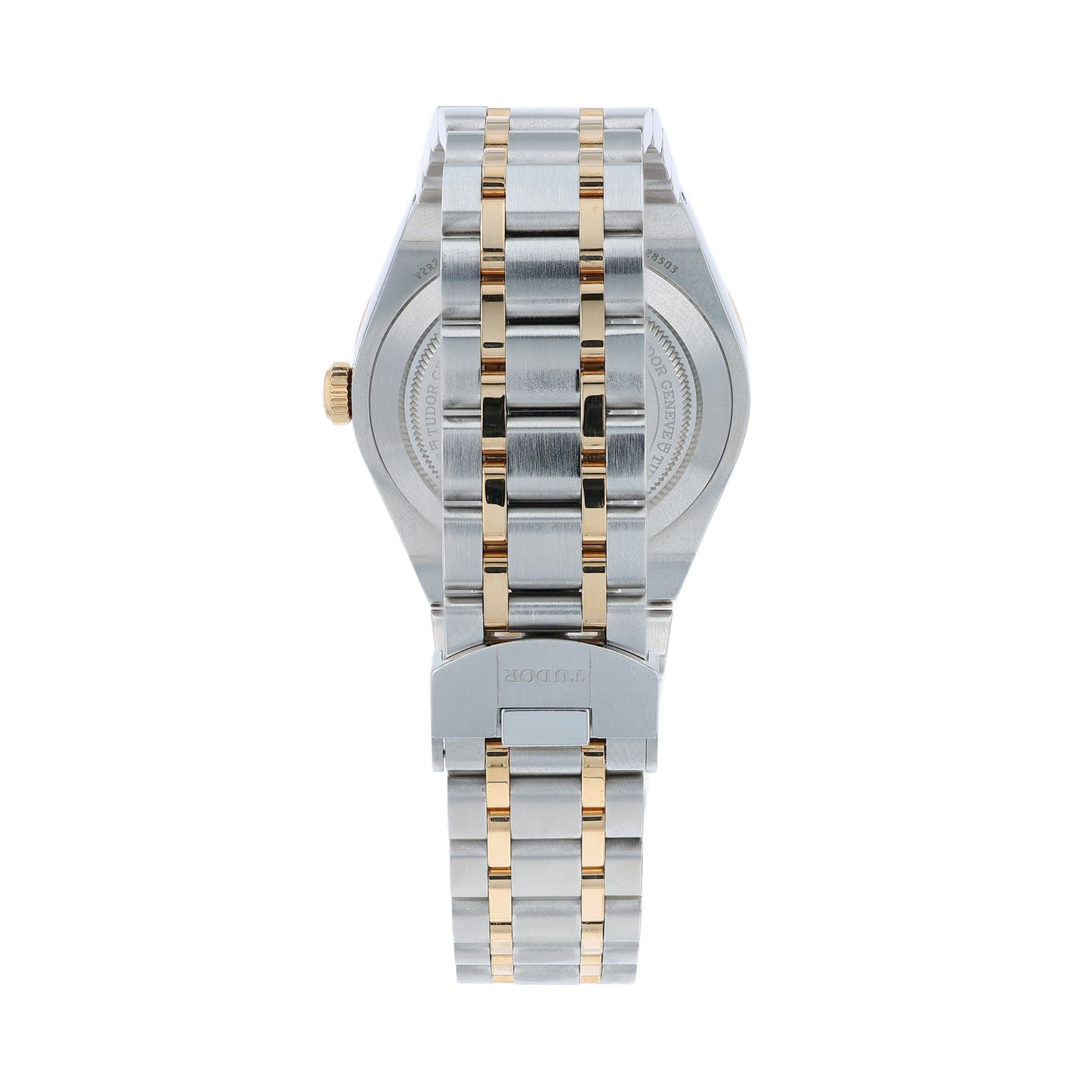 Stainless Steel and gold Tudor watch on a white background