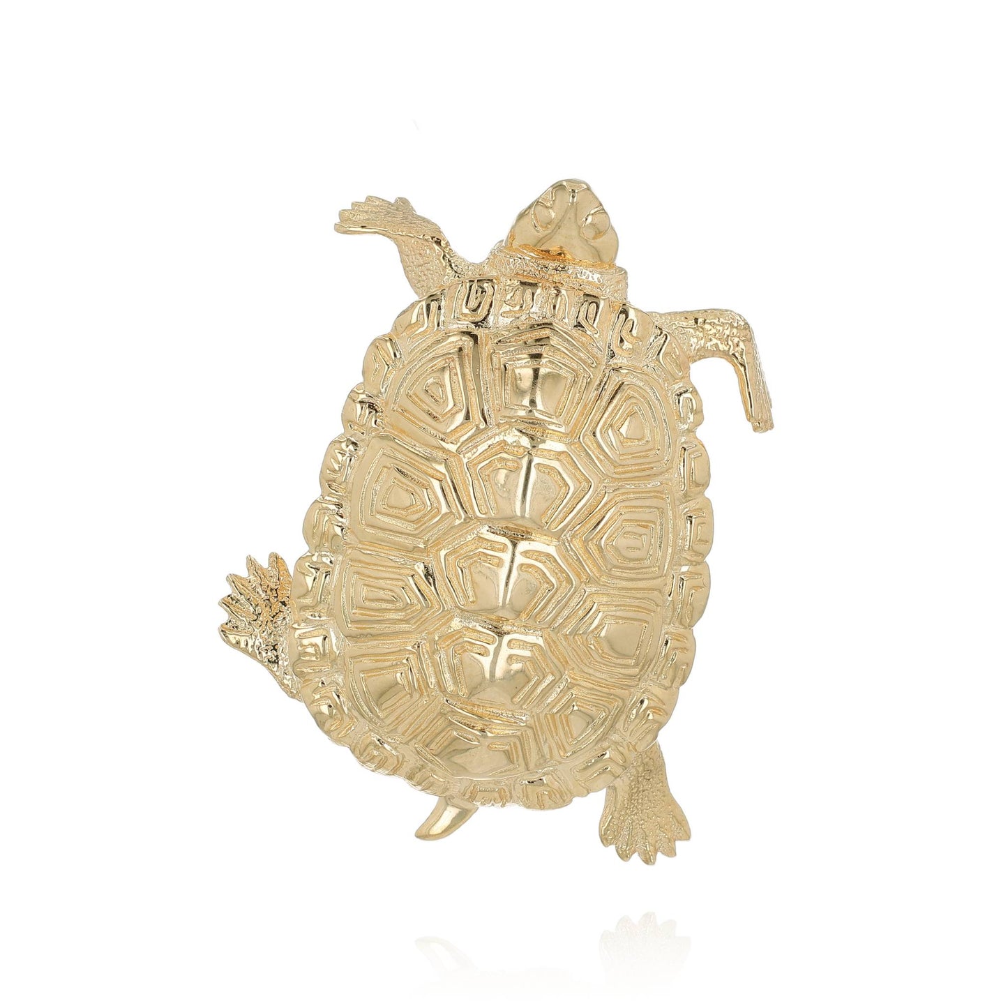 A yellow gold polished and textured snapping turtle designed pin on a white background