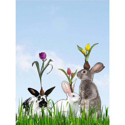 Alphie and Ollie Bunny with Tulips Cotton Floursack Kitchen Towel