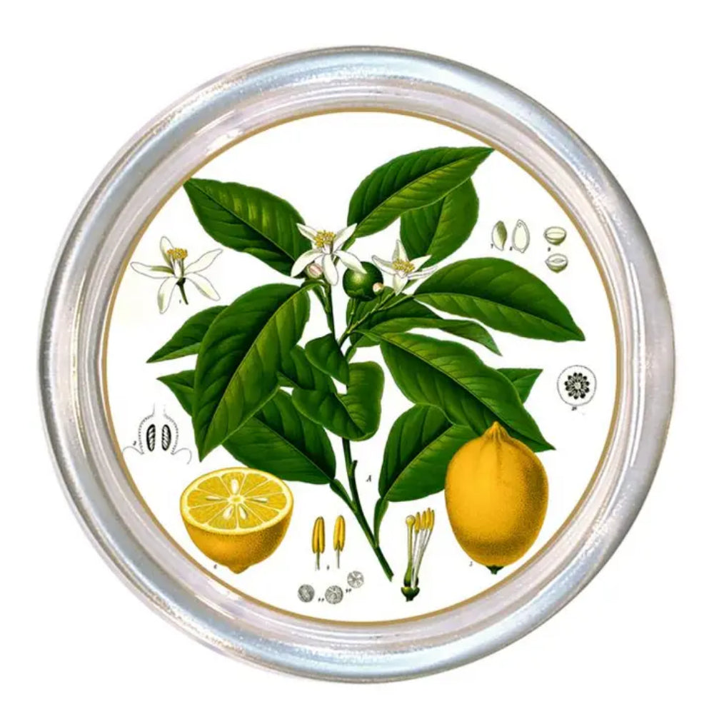 A round decorative coaster featuring a vintage botanical illustration of a lemon branch with green leaves, white flowers, whole and halved lemons, and small botanical details, all enclosed in a silver-toned rim on a white background.