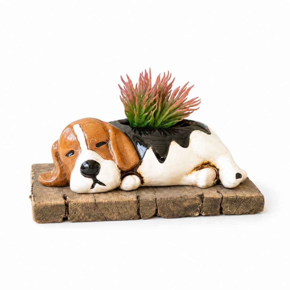 A ceramic beagle figurine lying down on a rustic wooden base, with a small green succulent potting in its back, set against a plain white background.