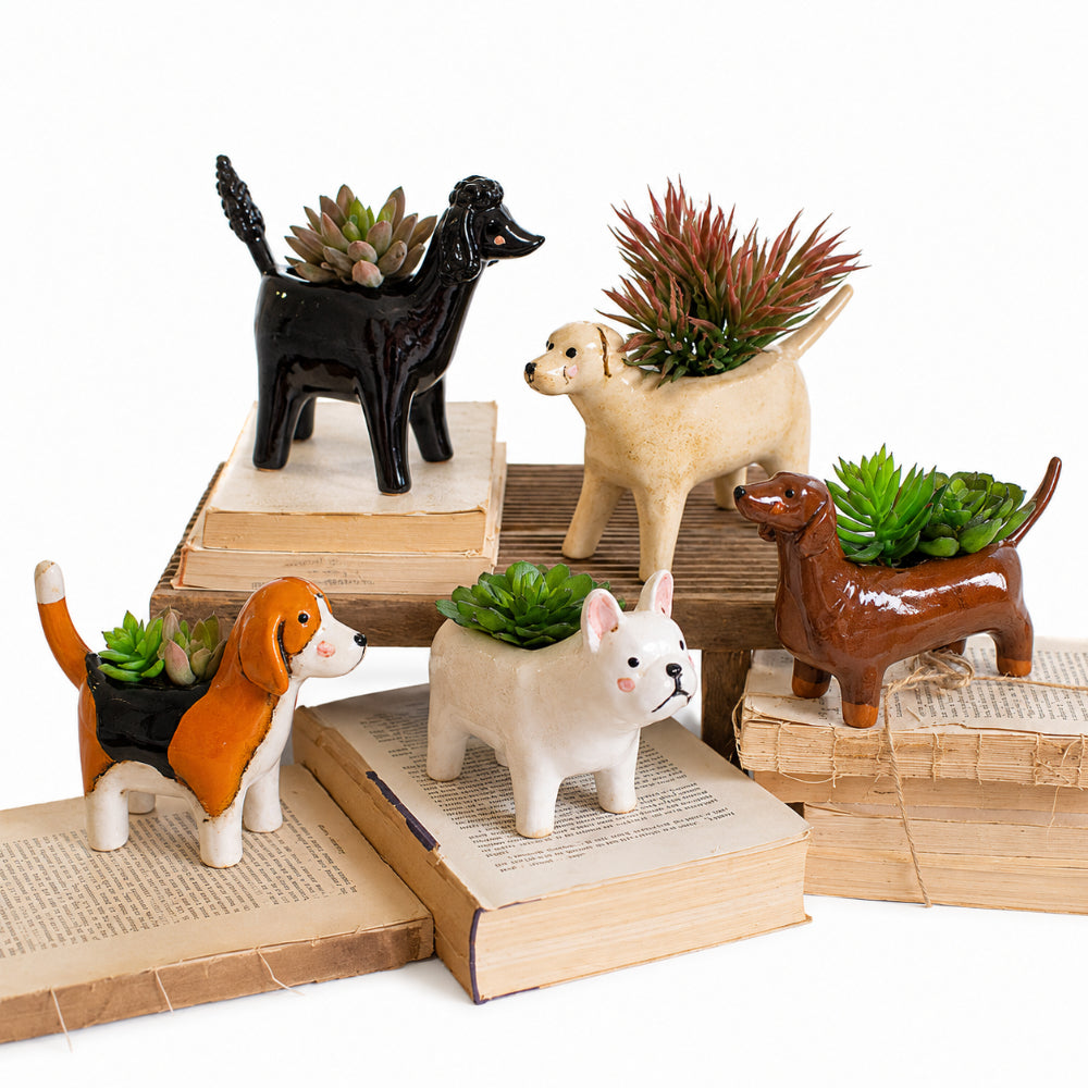 Five ceramic dog-shaped planter pots in different dog breeds, each holding a small succulent, arranged on top of vintage books against a white background.