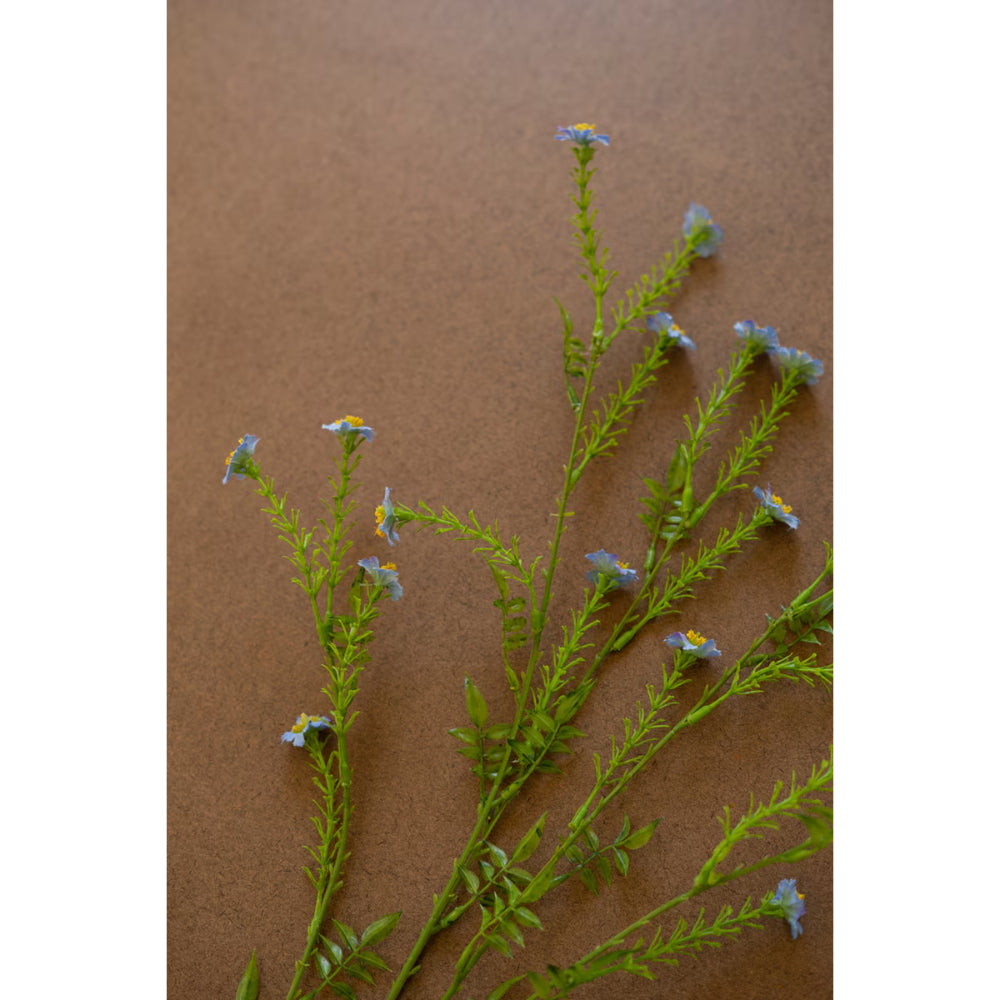 Green plant with small blue flowers on a brown background