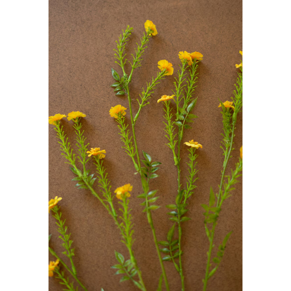 Yellow flowers on green stems against a brown background