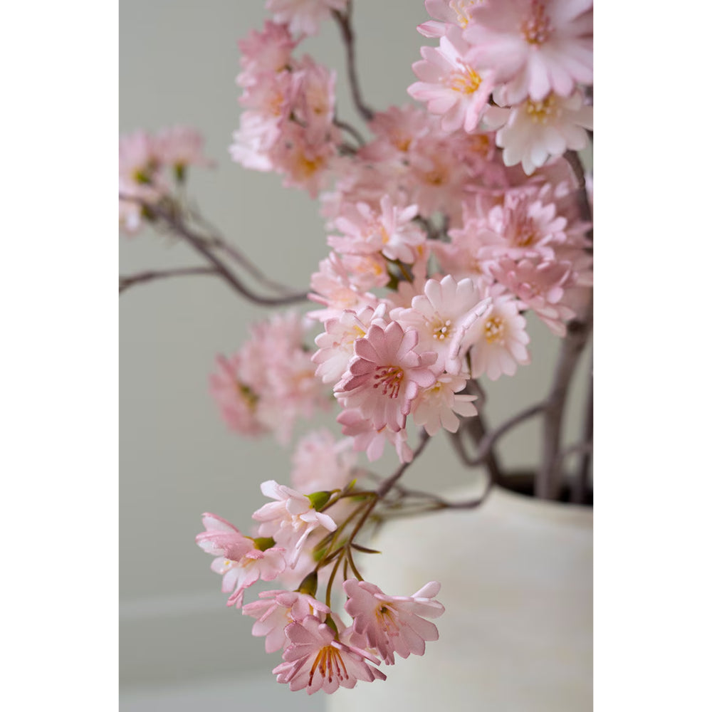 Kalalou Botanica #3506