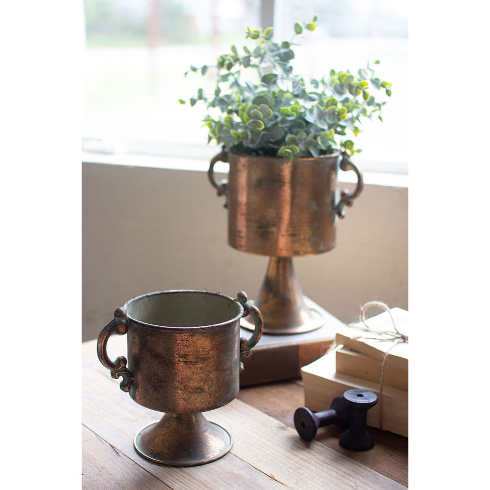 Two bronze decorative vases on a wooden surface with a plant in the background.