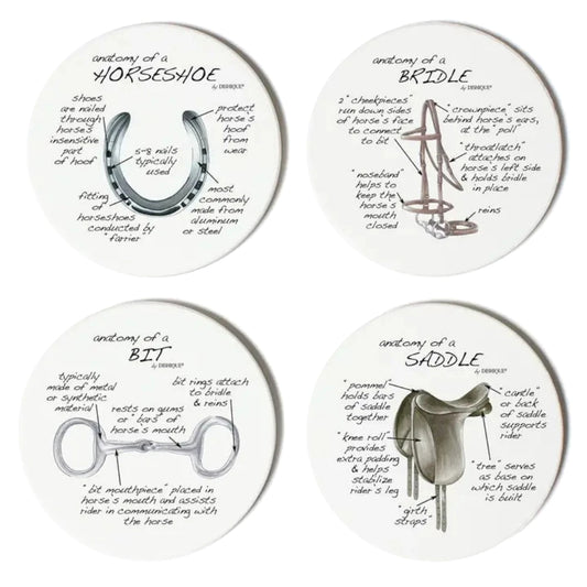 Dishique Equestrian Tack Anatomy Coasters - Set of 4