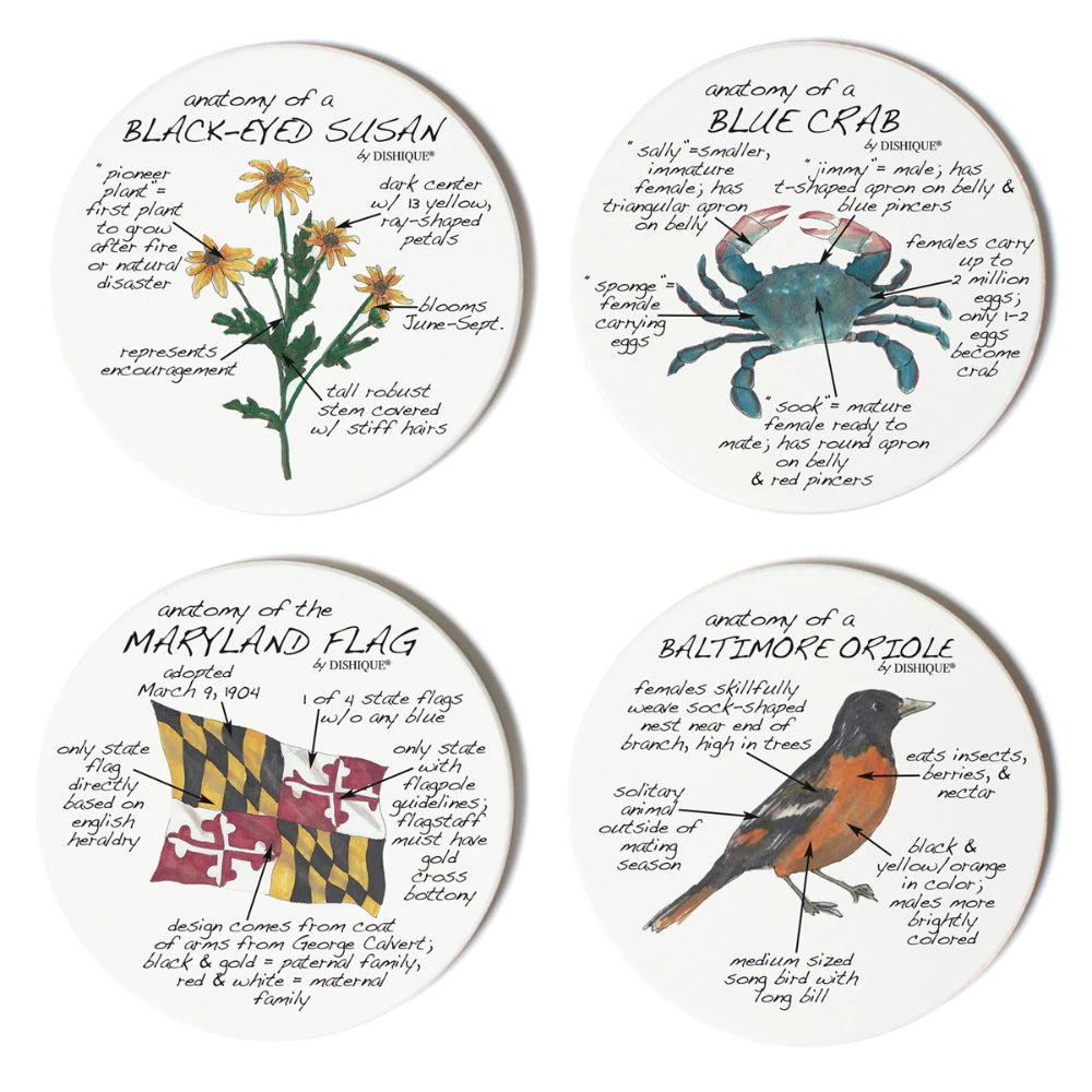 Dishique Maryland Anatomy Coaster - Set of 4