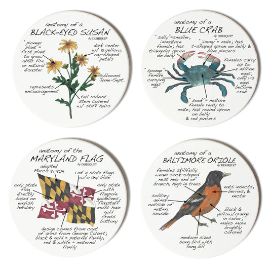 Dishique Maryland Anatomy Coaster - Set of 4