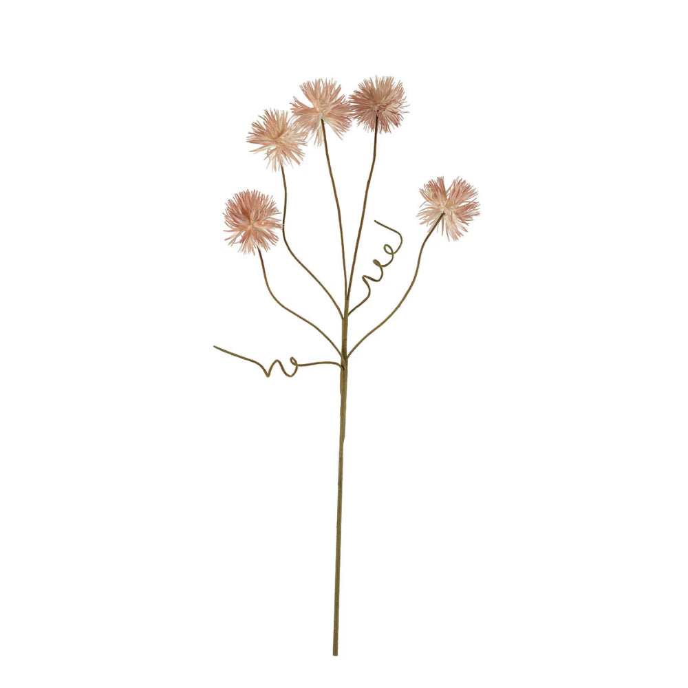 Kalalou Botanica #2375