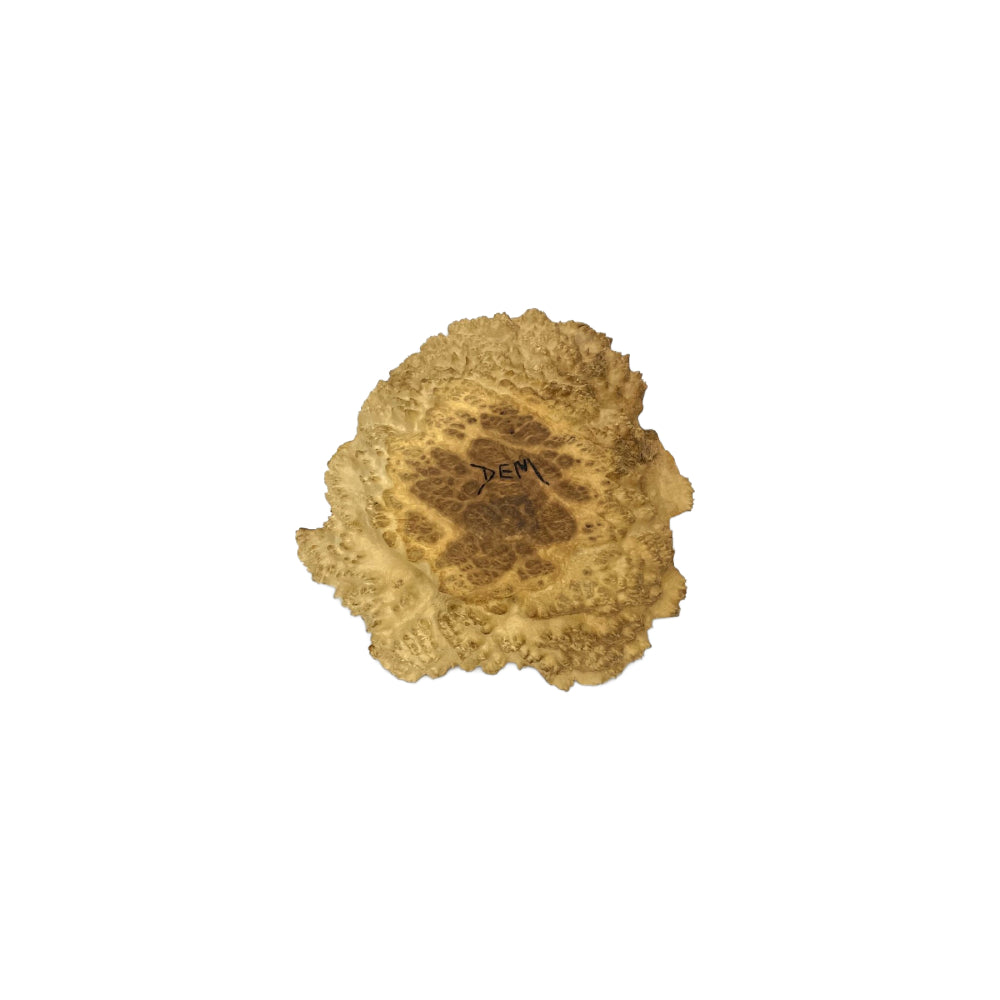 DEM Bowls 6" Brown Malle Burl Cap Dish