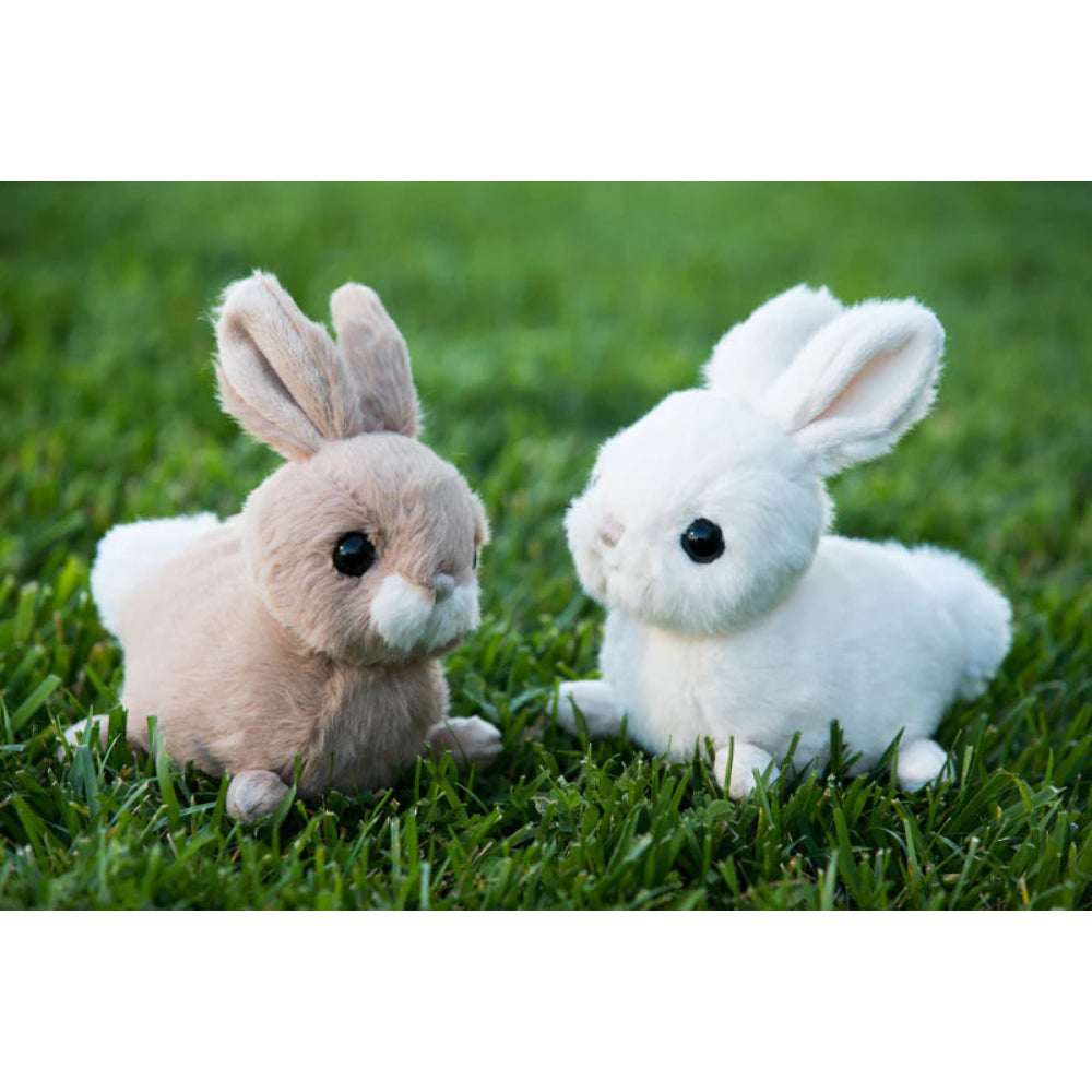 Bukowski Bears Zeus & Hera Bunnies