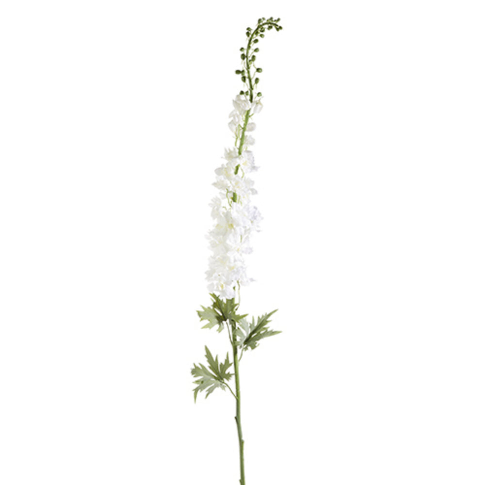 54" White Delphinium Stem *In-Store Pickup Only*