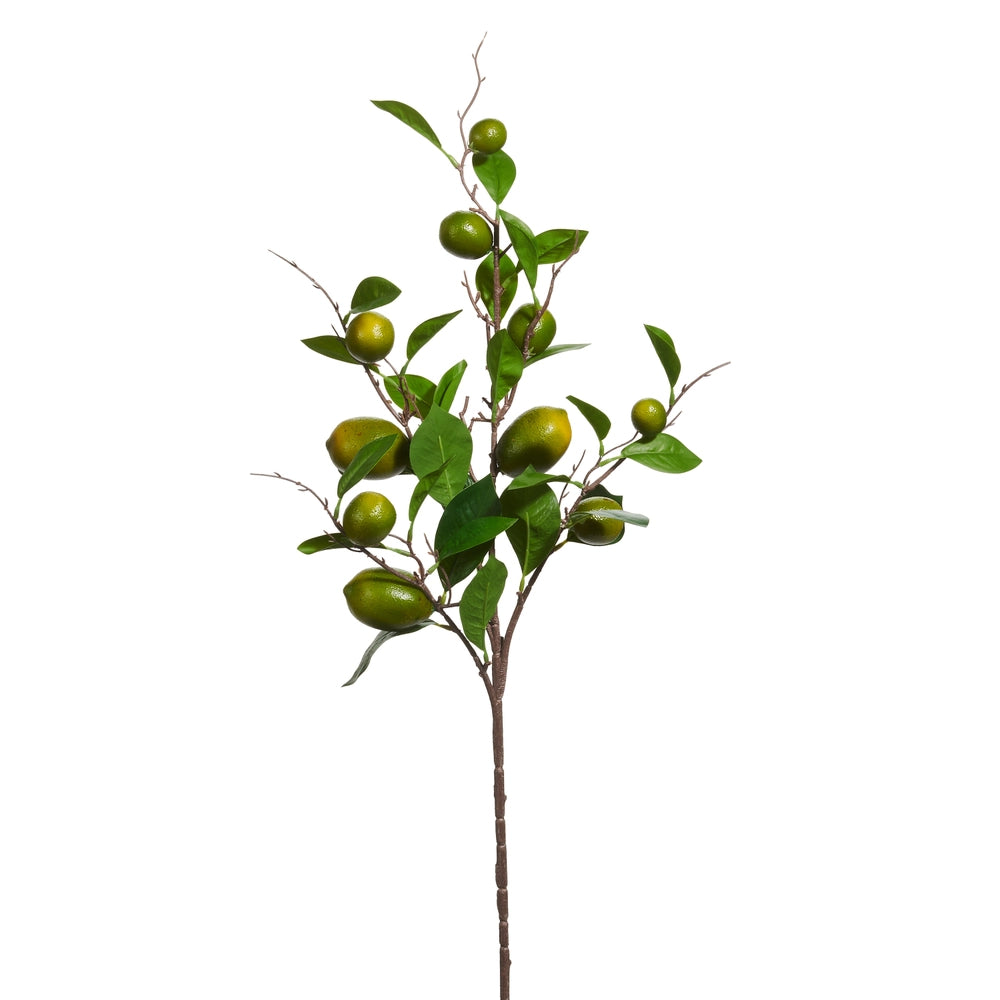 Raz Imports 36" Lime Spray (In-Store Pickup Only)